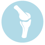bone bone icon on blue circle