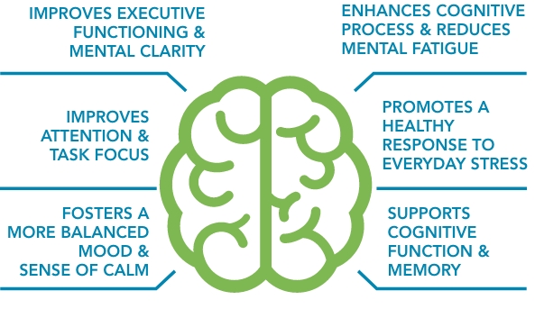 brain health graphic