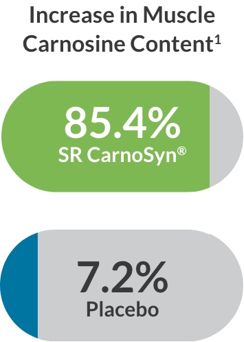 muscle carosine content graphic