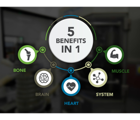 SR CarnoSyn® is an All-in-One Solution